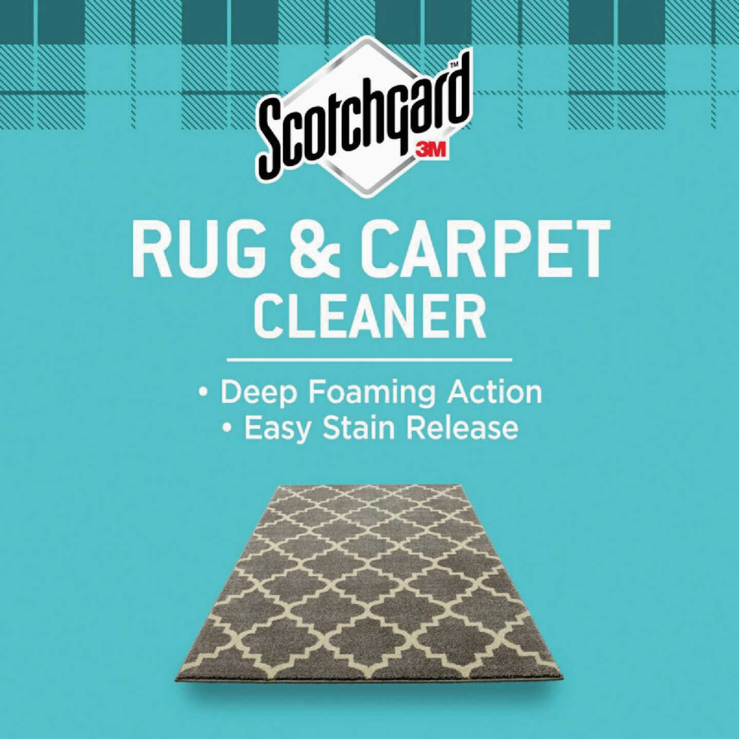 Woolite 22 Oz. InstaClean Carpet Cleaner - Baller Hardware